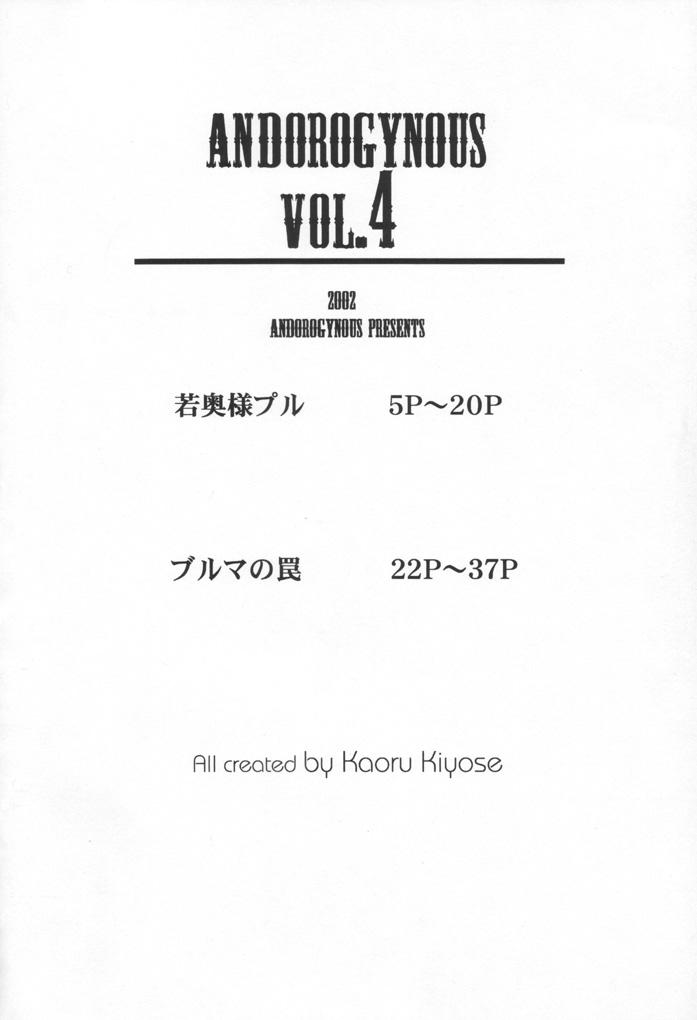 Flaca Andorogynous Vol. 4 - Gundam zz One - Page 3