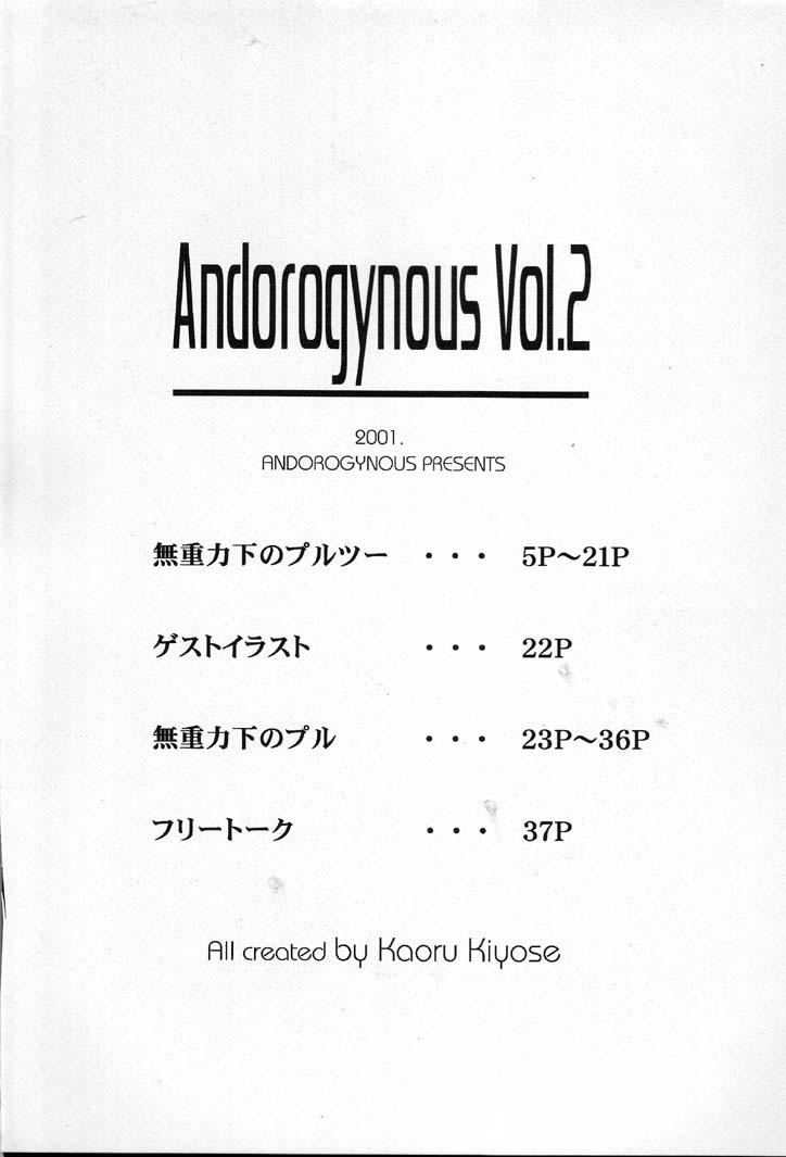 Andorogynous Vol. 2 3