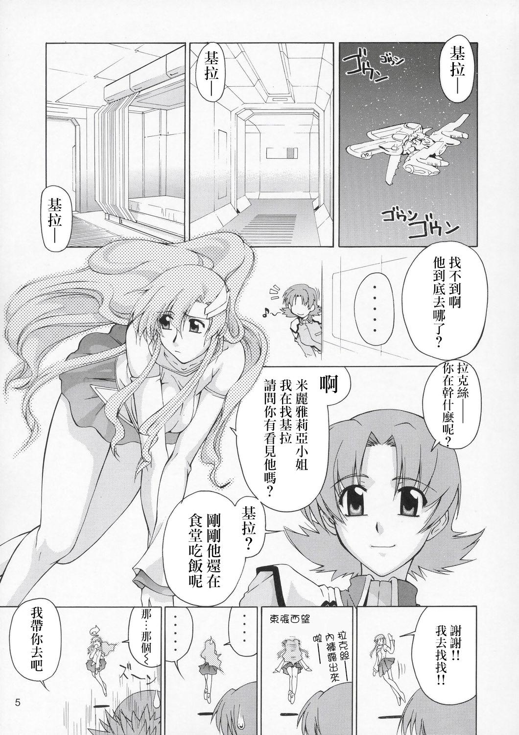Olderwoman Edition - Gundam seed Edging - Page 5