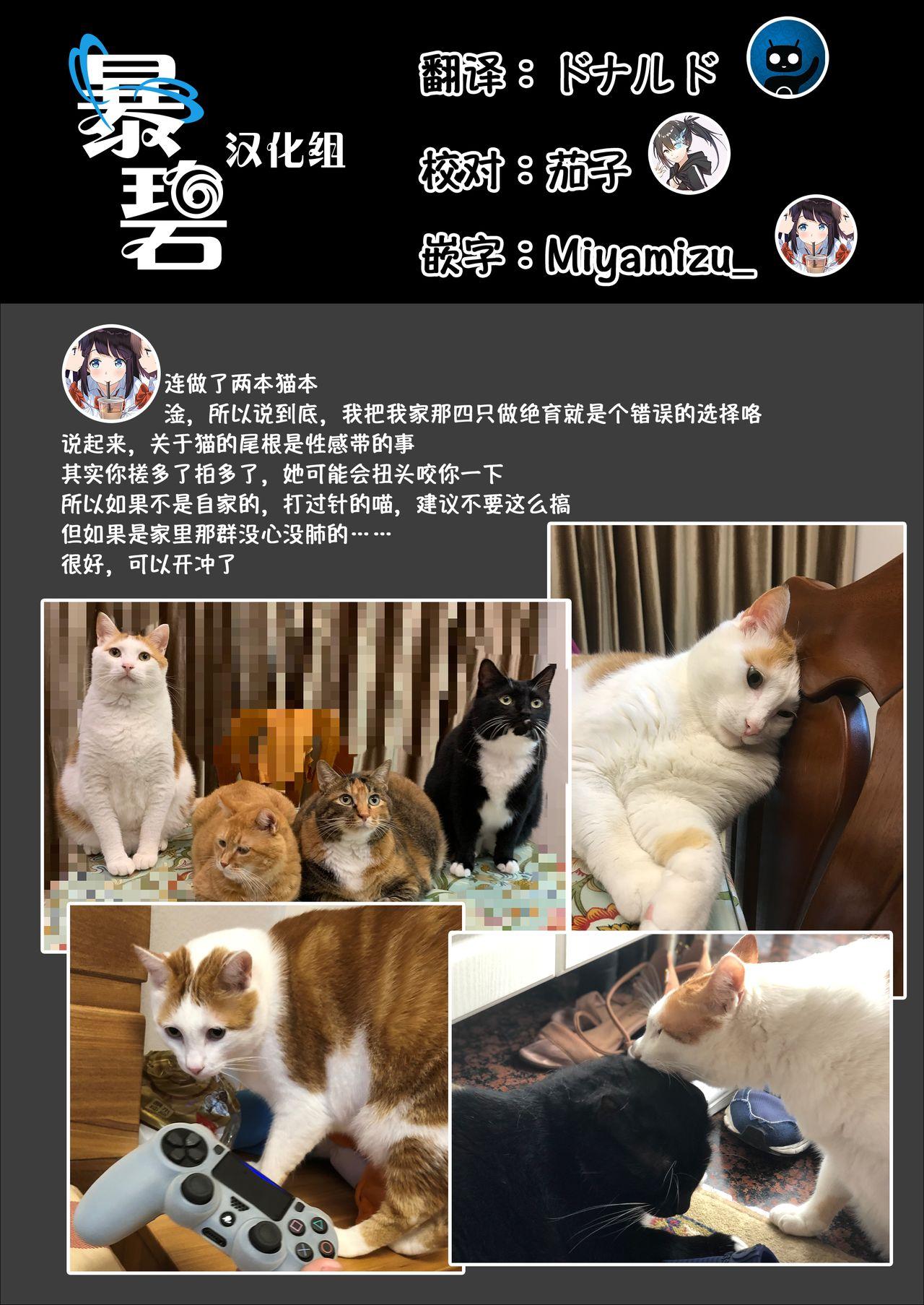 UR Neko-chans Life | UR小猫咪们的日常生活 23