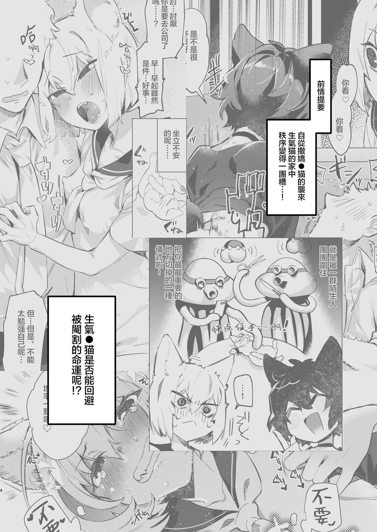 Real Amatuer Porn UR Neko-chans Life | UR小猫咪们的日常生活 Inked - Page 3