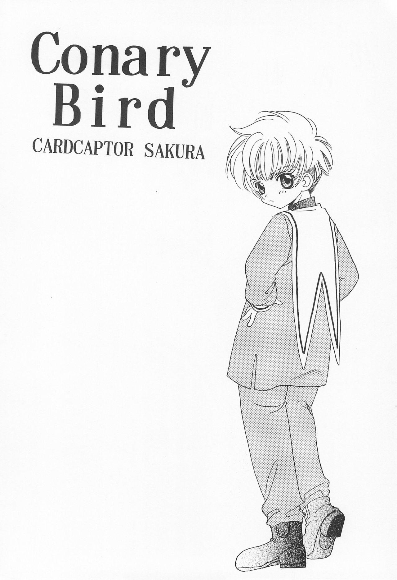 Transex ROSDE CONARY BIRD - Cardcaptor sakura Gay Cut - Page 4