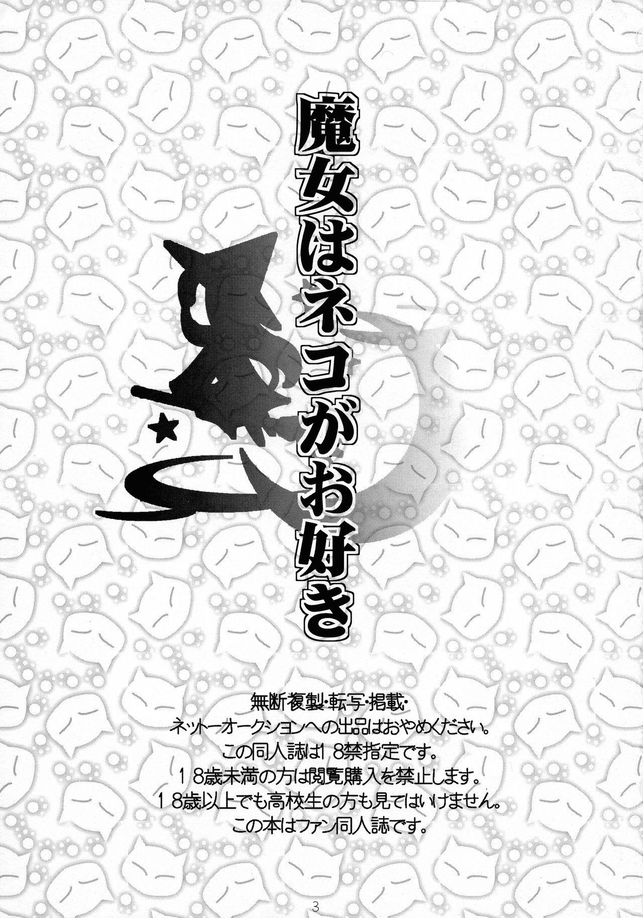 Gros Seins Majo wa Neko ga o suki - Bayonetta Friends - Page 3