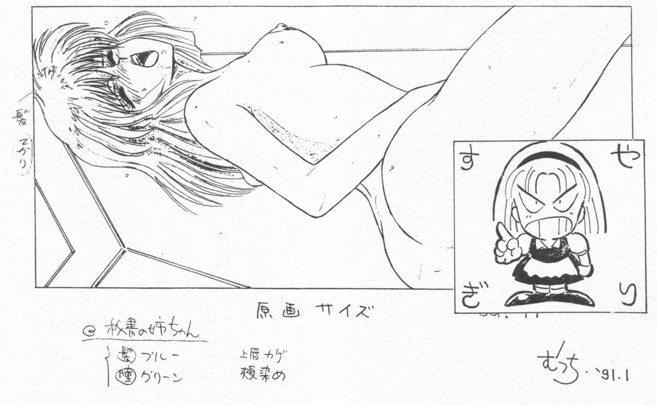 [Alice Soft] Dream Program System(D.P.S)Series Genga Settei Shiryou (Incomplete) [MIN-NARAKEN･Mutsumi Masato] 45