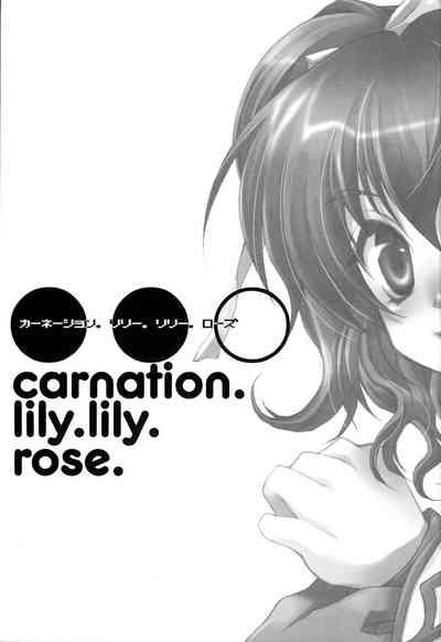 Carnation, Lily, Lily, Rose 1