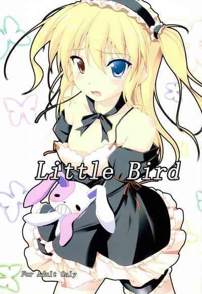 Little Bird 1