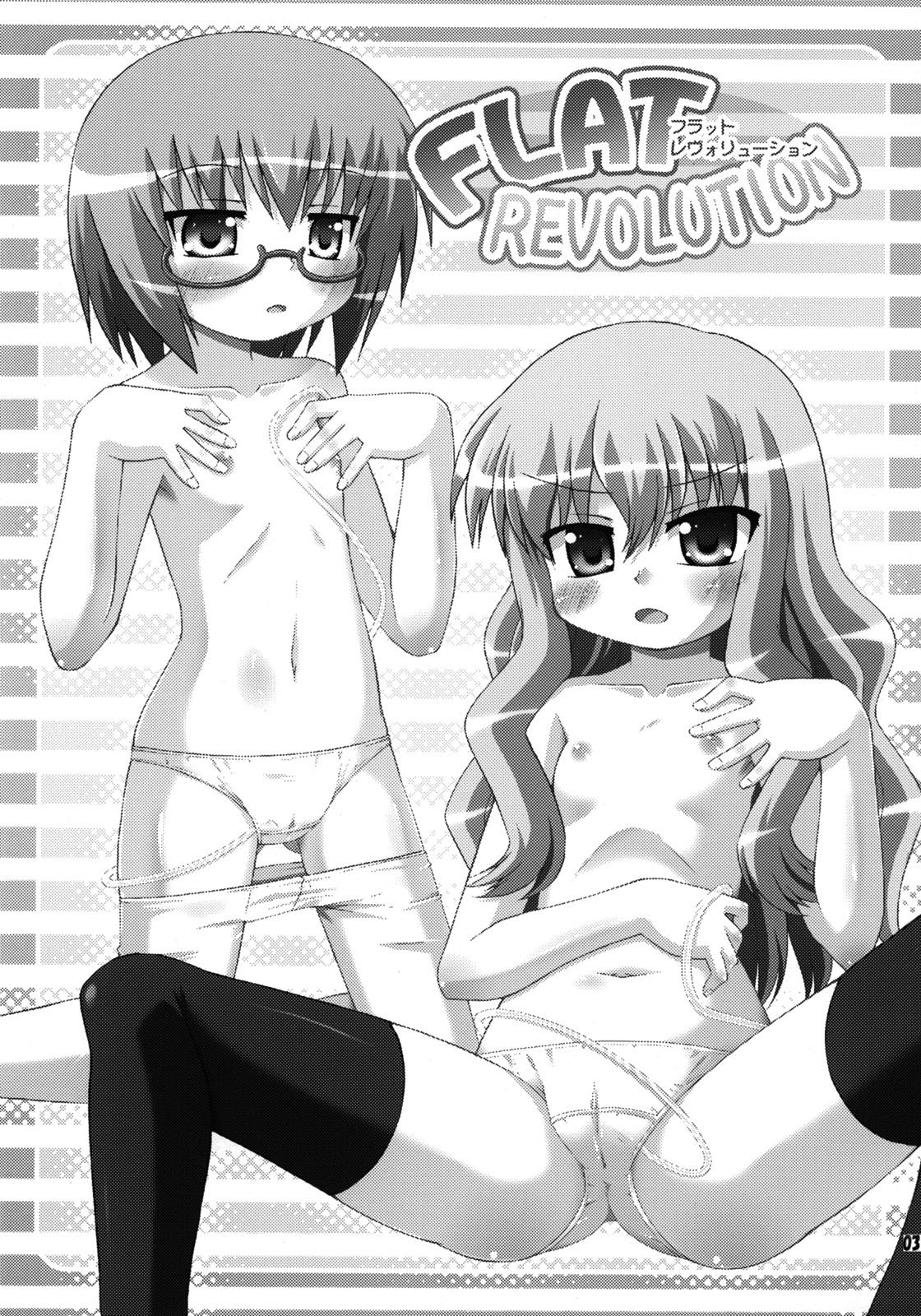 Housewife FLAT REVOLUTION - Zero no tsukaima | the familiar of zero Wetpussy - Page 3