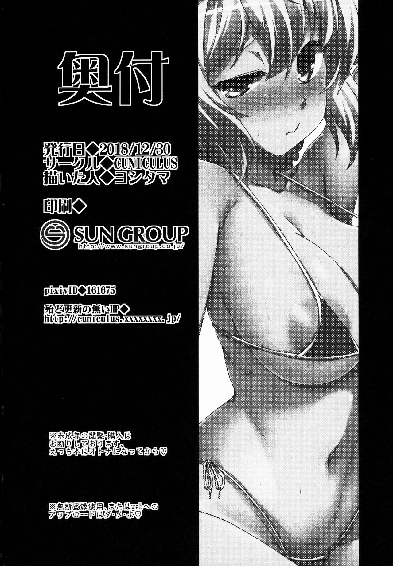 Hooker Suki Suki Chris-chan - Senki zesshou symphogear Studs - Page 17