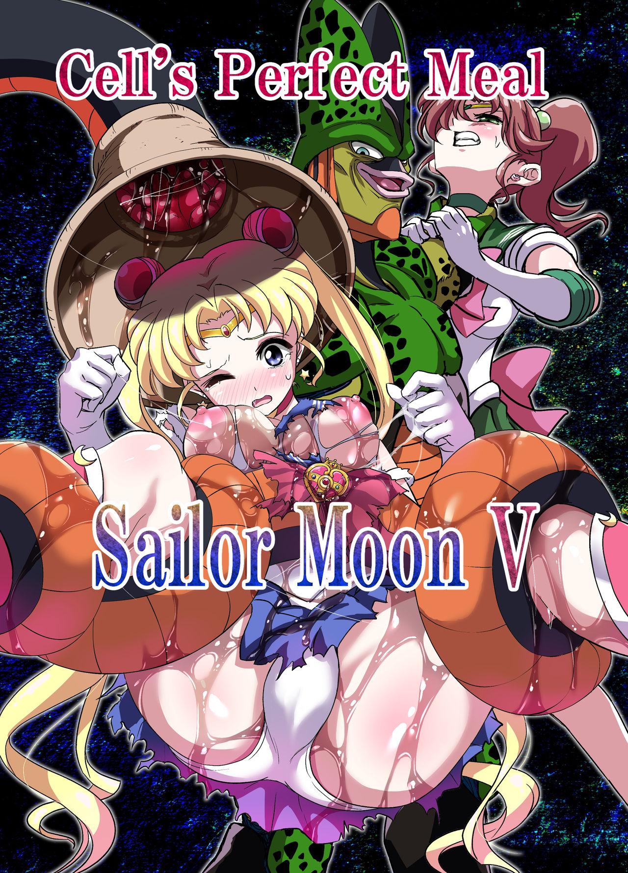 Bald Pussy Sailor Moon V - Sailor moon | bishoujo senshi sailor moon Free Amature - Page 1
