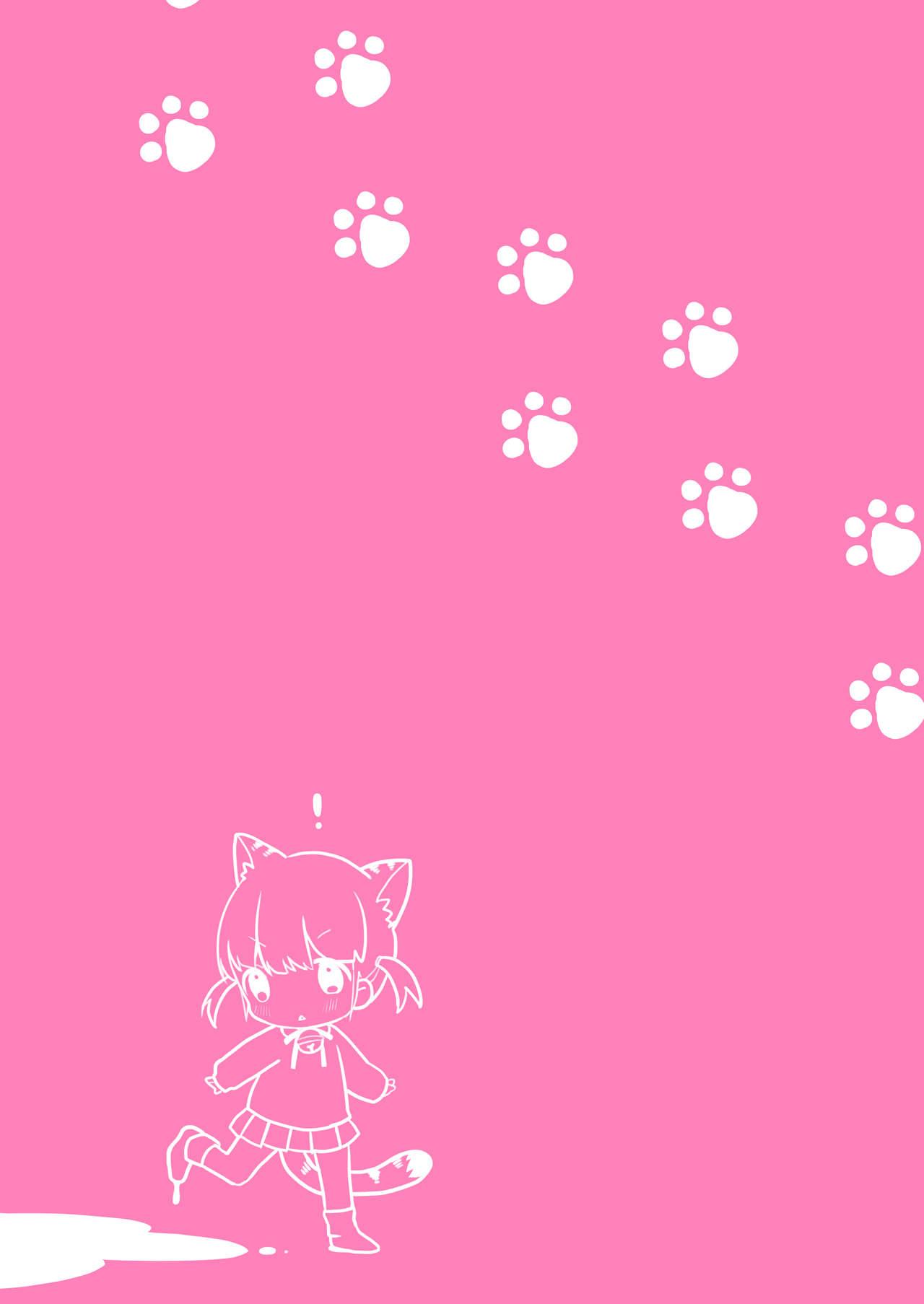 Nyanko Ikusei Nikki Sono 1 | Kitten Raising Diary Part 1 1
