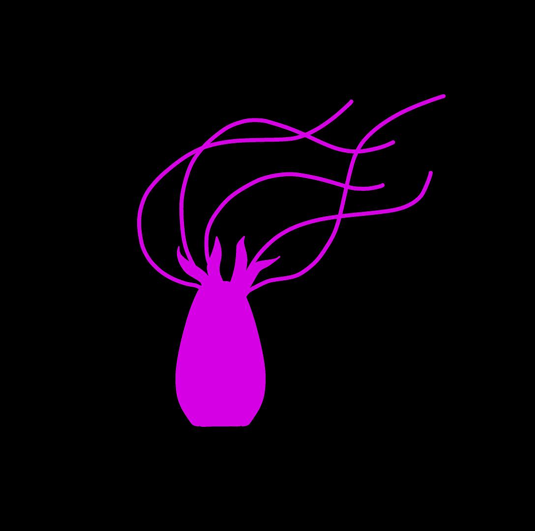 Pink Tentacle Creature 1