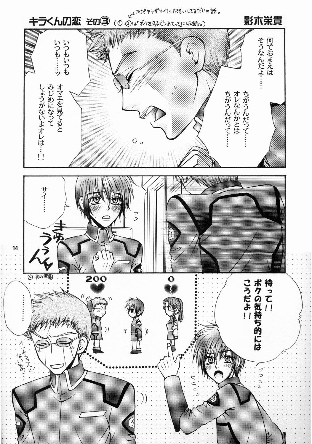 Reverse Daichi ni Tane wo Makimashou - Gundam seed Glam - Page 13