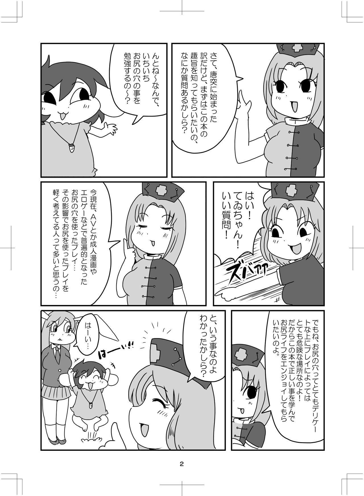 Dyke よいこのタメのオシリノススメ。 - Touhou project Blowjob - Page 3