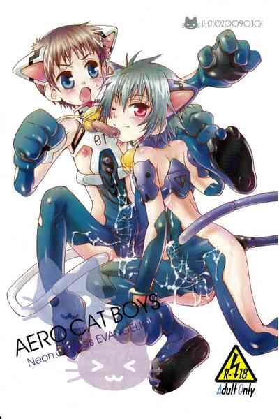 Aero Cat Boys 1