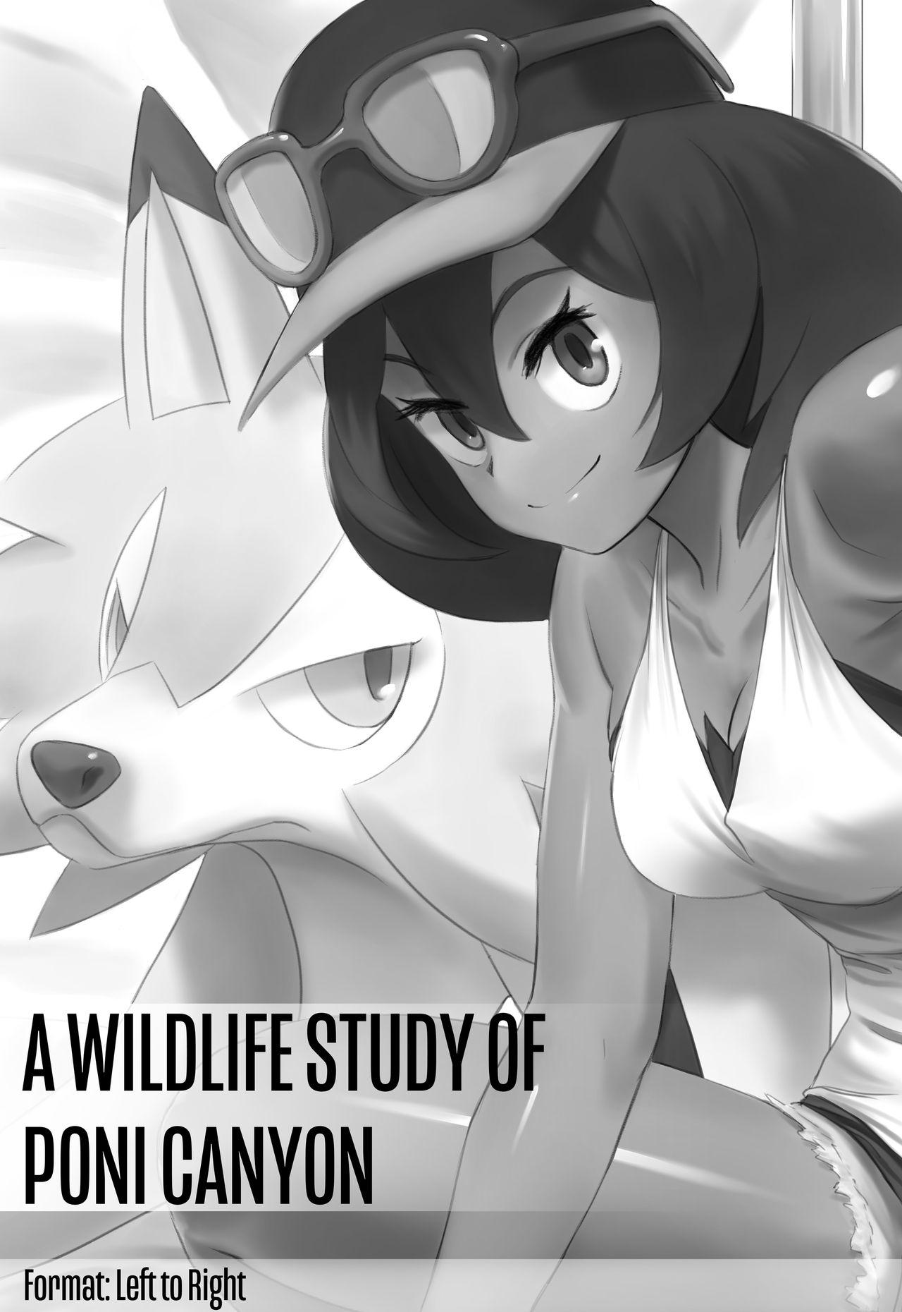 Analfuck A Wildlife Study of Poni Canyon - Pokemon | pocket monsters Fucking - Picture 1