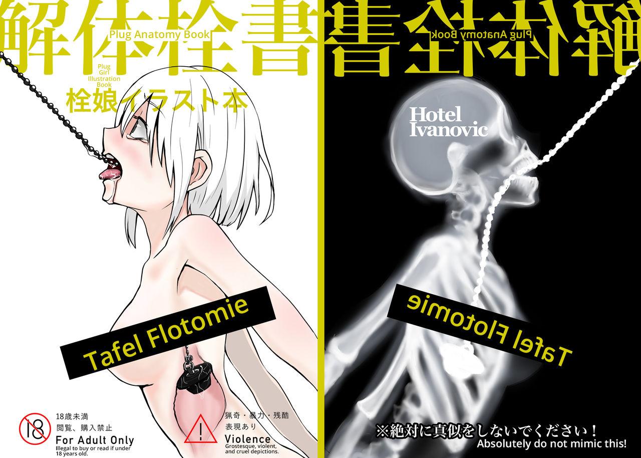 Kaitai Sensho | Plug Anatomy Book 0